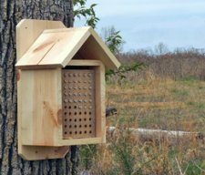 Drilled Wood Block Nesting Tubes with Milti-Purpose Bee House