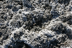High Soil Salinity also called White Alkali Soil