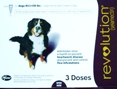 Revolution Flea Medicine for Dogs