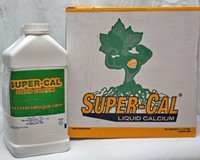 Super-Cal Liquid Calcium